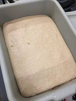 Bulk dough fermentation